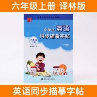 笔墨先锋 小学生英语同步描摹字帖6/六年级上册译林版小学六年级上册英语同步描摹字帖练习黑龙江美术出版社