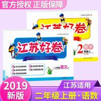19新版开文教育 江苏好卷二年级上册语文数学套装 江苏适用小学2年级上册期中期末检测卷单元达标复习卷分类整合复习卷