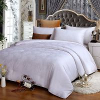 蚕丝被天然桑蚕丝蚕丝被单双人春秋被夏凉被空调被桑蚕丝被子冬季