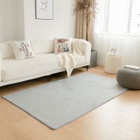 地毯卧室满铺客厅床边飘窗垫爬行加厚垫子锻炼家用定制进门垫