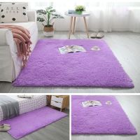 加厚地毯客厅茶几卧室床边飘窗少女心可爱家用可定制厨房脚垫