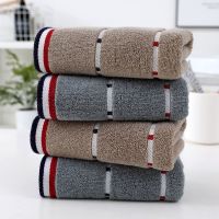 纯棉毛巾4条家庭装长绒精梳棉成人情侣加厚毛巾柔软吸水洗脸日用
