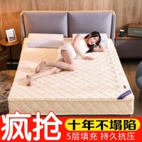 加厚冬季床垫双人榻榻米海绵垫子保暖单人学生垫被床褥