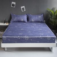 六面全包印花床笠加厚夹棉床罩乳胶床垫套拉链式席梦思保护套防滑
