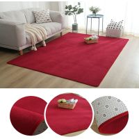 加厚客厅茶几毯卧室满铺房间地毯绒榻榻米飘窗床边可定制
