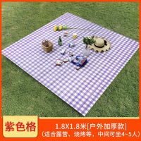 户外性野餐布烧烤野餐垫防水加厚塑料郊游桌布沙滩垫野营台布