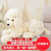 可爱贵宾犬抱枕泰迪狗公仔毛绒玩具小狗狗布娃娃儿童女孩生日礼物