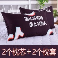 枕头套装一对枕芯成人枕头芯单人学生宿舍可爱少女心枕头