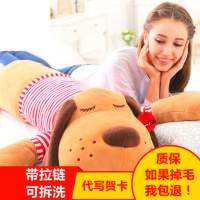 抱抱熊儿童毛绒玩具可爱大头狗公仔抱枕大号布娃娃生日礼物女生