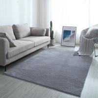 民宿地毯客厅卧室现代北欧沙发茶几床边满铺水洗家用定制