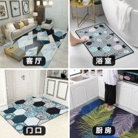 家用地毯进门防滑脚垫入门垫满铺厨房免洗大面积客厅卧室床边