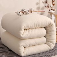 棉被秋冬被胎加厚保暖垫被棉被芯棉絮床垫被子单双人被