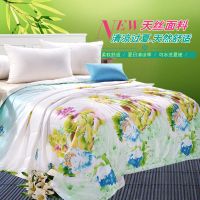 蚕丝被桑蚕丝夏凉被空调被单双人全棉春秋被子加厚冬季被芯学生被