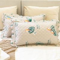 枕头套一对单人成人可爱荷叶花边枕头套拉链式中号枕套春秋冬枕芯