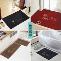 门垫进门入户门口蹭脚垫门厅地毯家用卫生间吸水防滑垫子定制