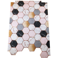 北欧入户门进门口脚垫玄关定制地毯门厅垫子丝圈可裁剪阁妮mc