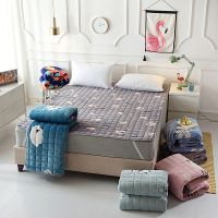水晶绒保暖床褥绒加厚床单宿舍毯子加绒薄床垫铺被褥垫被软垫