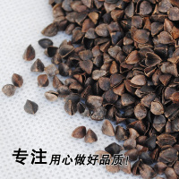 荞麦皮散装荞麦壳成人枕助睡眠婴儿荞麦皮枕芯填充物