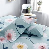 纯棉枕套一对装全棉枕头套单个双人单人成人学生枕芯套单只48*74