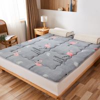 法莱绒冬季保暖床垫学生宿舍卡通床垫子单人双人床褥