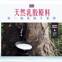 泰国天然乳胶颗粒枕护颈按摩成人保健枕儿童青少年枕芯单双人枕头