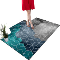 可擦洗地毯门垫进门入户门pvc脚垫门口家用客厅免洗防滑垫子