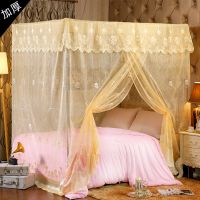 新款蚊帐家用古风卧室农村公主风网红加厚单支架1.2/1.5/1.8米床