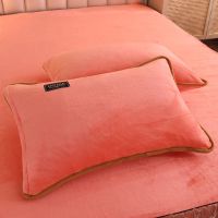 加厚牛奶绒枕头套一对装枕套法兰绒秋冬单双人枕套