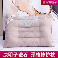 决明子磁疗枕头枕芯两只装带枕套成人家用护颈锥定型单人枕头枕芯