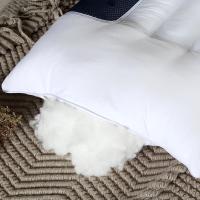 决明子薰衣草荞麦枕头单人双人护颈枕芯家用一对装