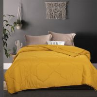 蚕丝被冬季冬被夏凉被单人春秋被子双人二合一字母蚕丝被子芯