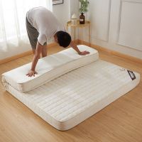 榻榻米床垫订做尺寸可折叠床垫1.5海绵1.8米双人加厚非床垫子