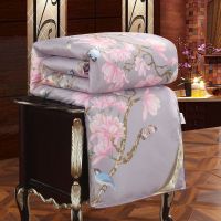 桑丝被子冬被桑丝加厚保暖棉被芯学生春秋被空调被礼品被