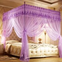 蚊帐家用1.8米床卧室加密公主风1.5m宫廷三开门1.2米新款