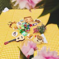 野餐垫露营防潮垫户外加厚家用野外地垫折叠草坪便携防水野餐布