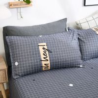 枕套一对装单人学生宿舍成人情侣双人家用枕头套一只装枕头套单个