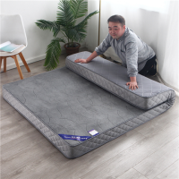 加厚保暖法兰绒床垫1.5米1.8米双人单人宿舍学生家用褥子打地铺垫