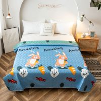 床盖洛卡棉水洗棉纯棉床盖加大加厚订制秋冬季毛毯双面火炕夹棉