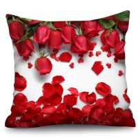 女生抱枕超柔唯美创意靠垫婚庆沙发靠枕靠垫汽车护腰垫午睡枕套