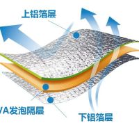 户外防潮垫野外睡垫室外地毯野餐帐篷旅游垫子地垫睡觉隔潮垫地铺