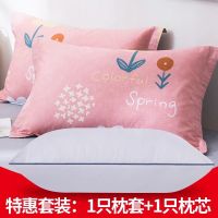 枕头带纯棉枕套家用全棉枕芯枕套装单人学生宿舍护颈椎枕一对拍2