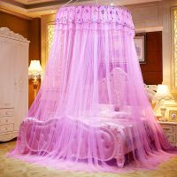 蚊帐家用吊挂圆顶吊顶蚊帐支架公主风加密大纹帐