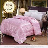 买一送二被子冬天加厚保暖冬被春秋被空调被单双人被芯