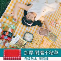 ins风户外野餐垫子防潮垫休闲加厚卧室防水地垫爬行垫便携式睡垫