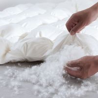 羽绒被酒店羽绒丝被加厚保暖被芯子学生冬被静音