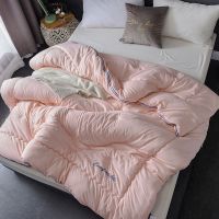 被子冬被子母被二合一双胎被春秋被芯10斤双人加厚保暖冬季