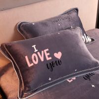 珊瑚绒枕套一对装加厚法兰绒枕芯套情侣加绒韩式枕头皮单人带花边