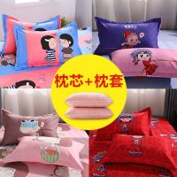 枕套枕头套一对秋冬加厚磨毛学生宿舍单人家用可爱成人大号枕头套