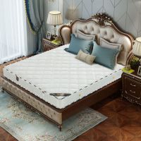 弹簧床垫20cm厚席梦思床垫单双人1.8米1.5米椰棕床垫加厚软硬两用
