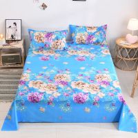 纯棉床单单床单件单被套床单布料床单单件1.8米纯棉床单特价